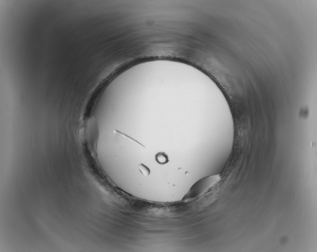 X0000097640160200803211840