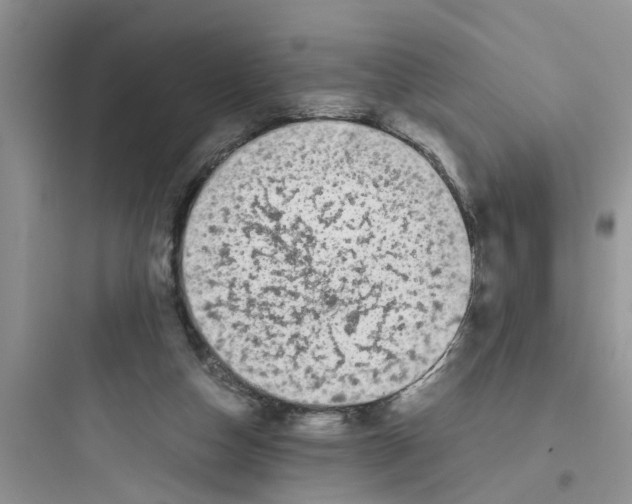 X0000097640162200803211840