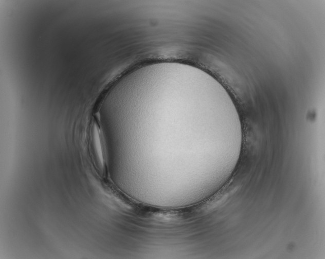 X0000097640164200803211840