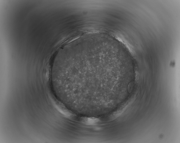 X0000097640165200803211840