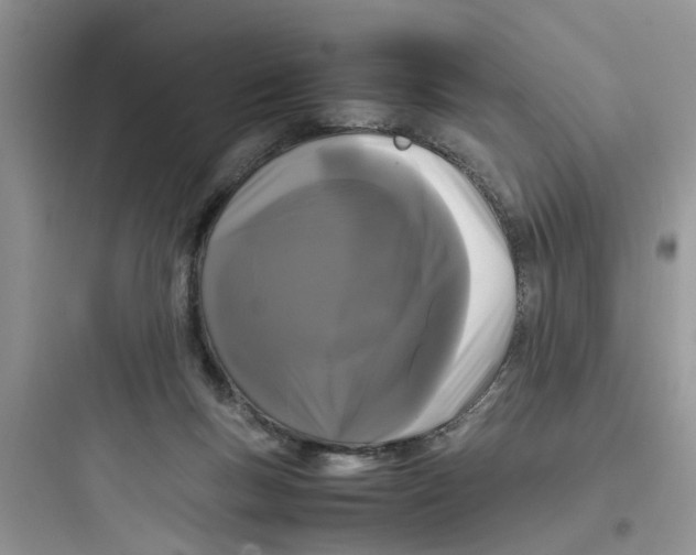 X0000097640167200803211840