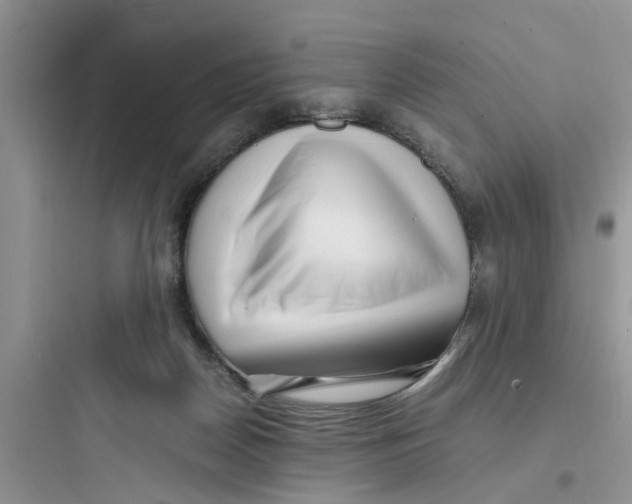 X0000097640170200803211840