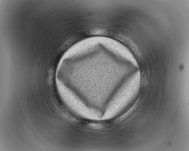 X0000097640171200803211840