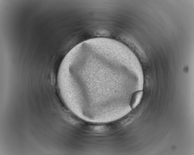 X0000097640173200803211840