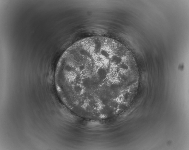 X0000097640177200803211840