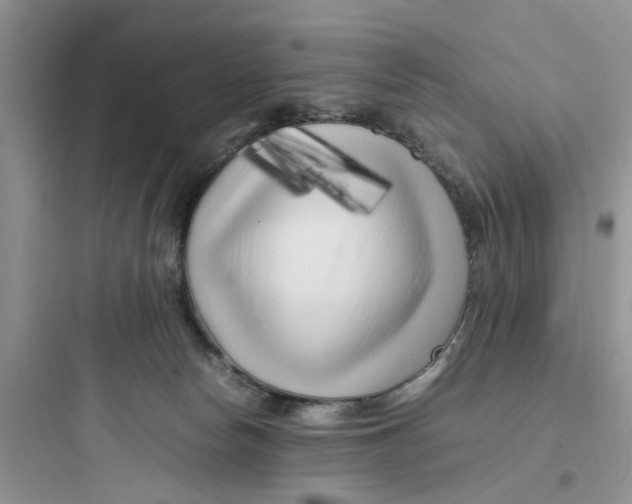 X0000097640178200803211840