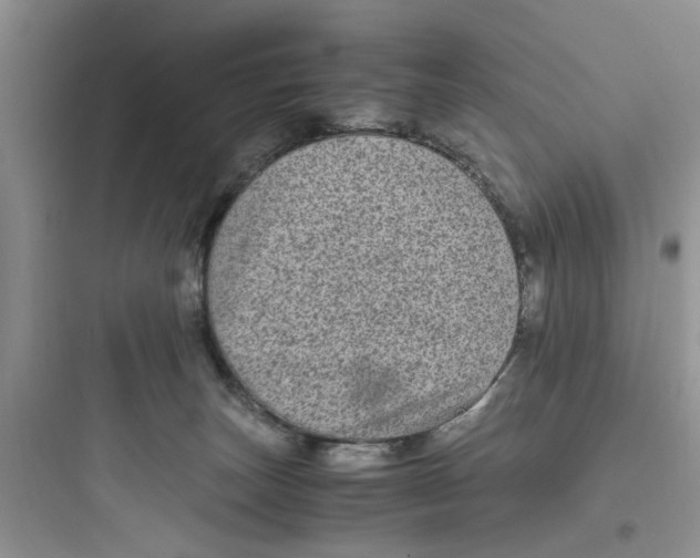 X0000097640179200803211840