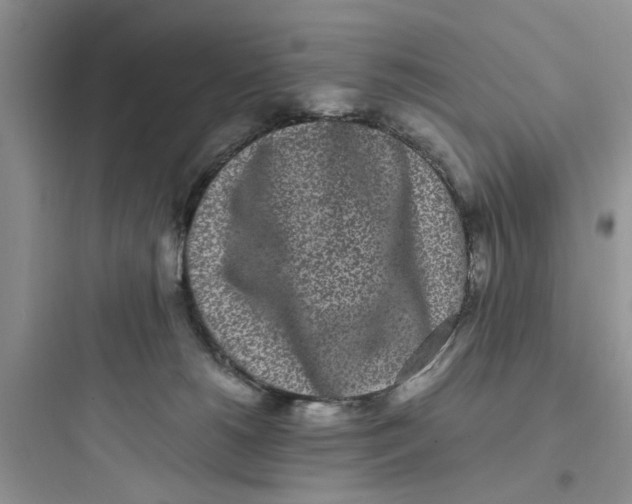 X0000097640180200803211840