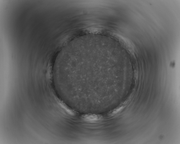 X0000097640181200803211840