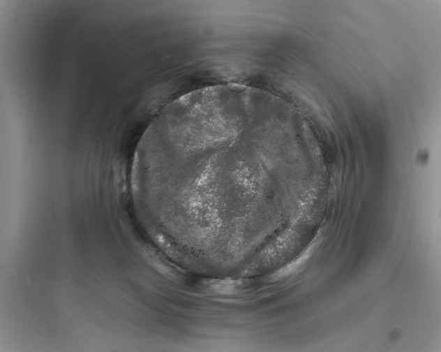 X0000097640182200803211840