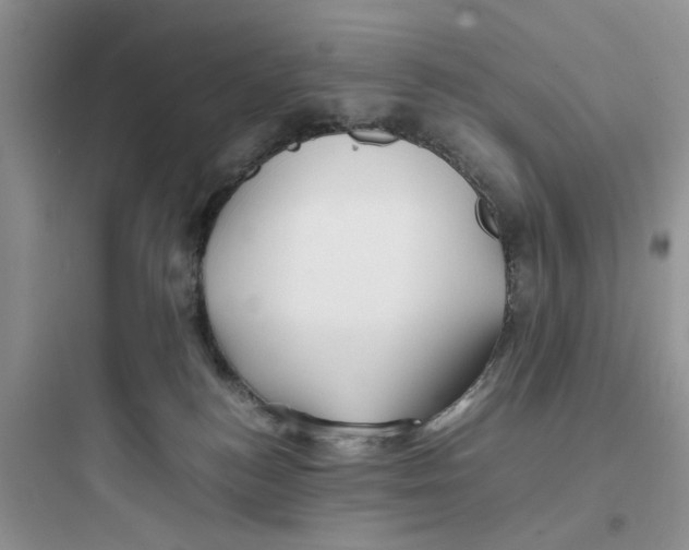 X0000097640184200803211840