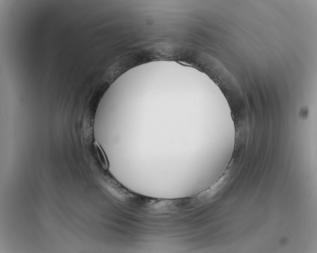 X0000097640186200803211841