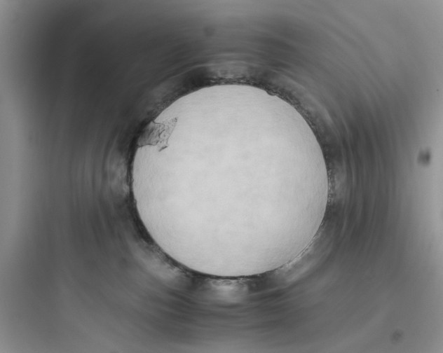 X0000097640187200803211841