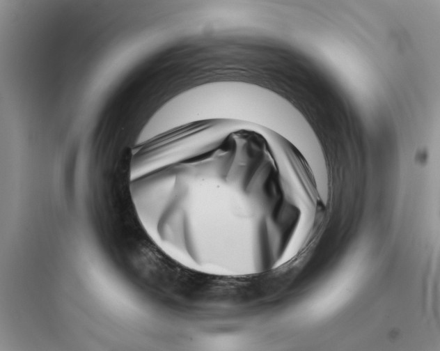 X0000097640190200803211841