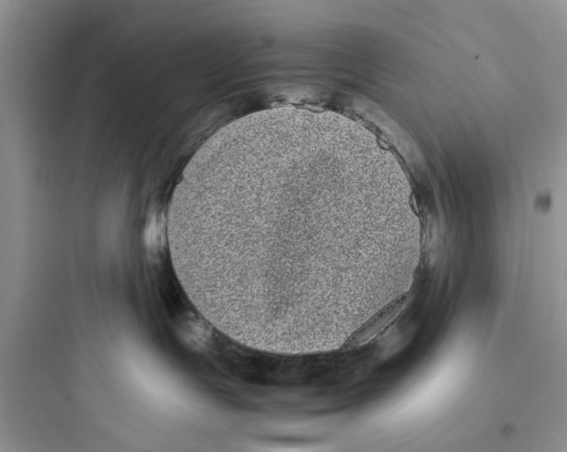 X0000097640191200803211841