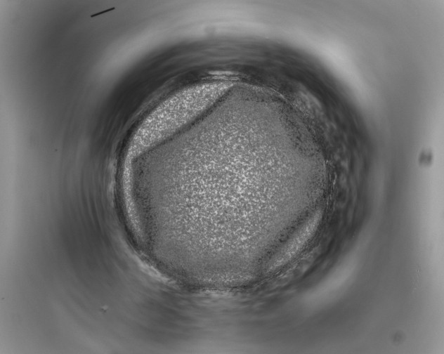 X0000097640194200803211840