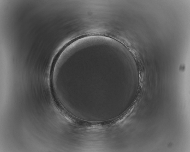 X0000097640196200803211840