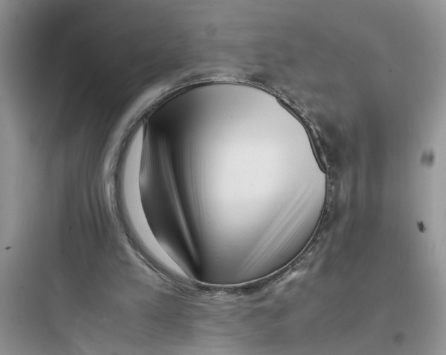 X0000097640197200803211840