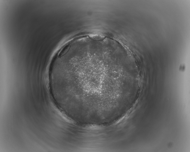 X0000097640198200803211840