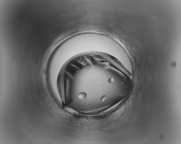 X0000097640199200803211840