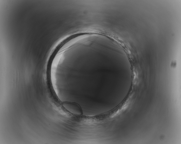 X0000097640200200803211840