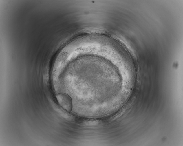 X0000097640202200803211840