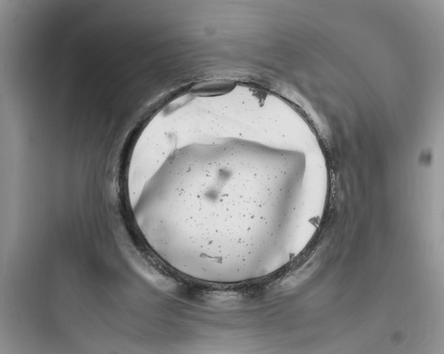 X0000097640203200803211840