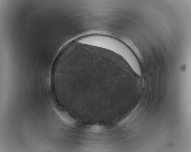 X0000097640204200803211840