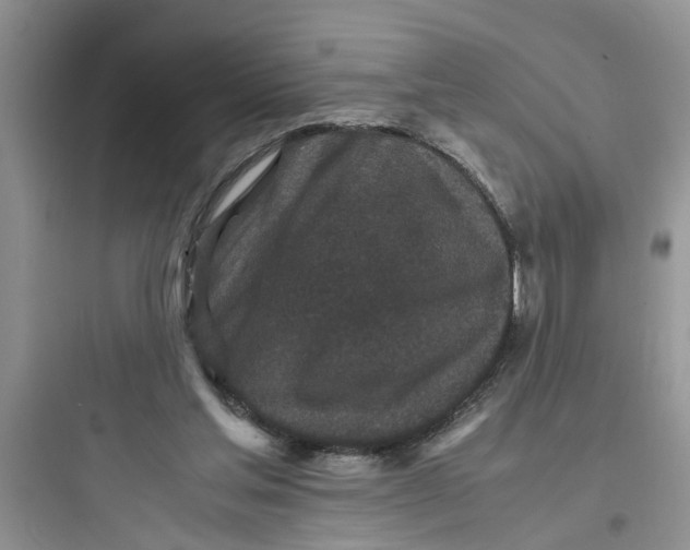 X0000097640205200803211840