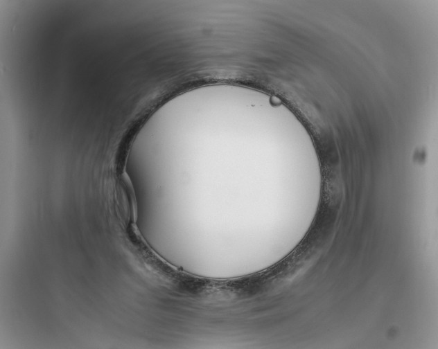 X0000097640207200803211840