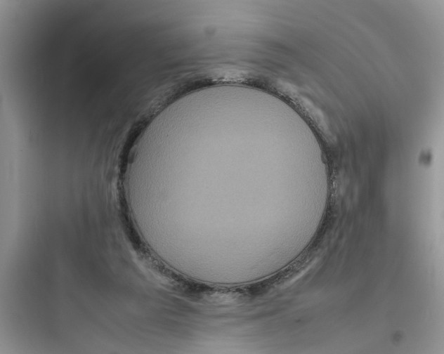 X0000097640209200803211840