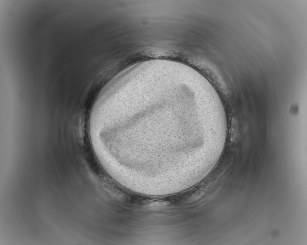 X0000097640210200803211840