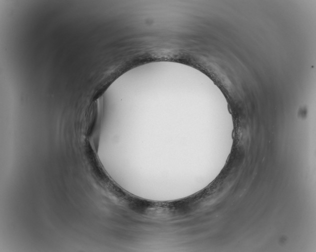 X0000097640211200803211840