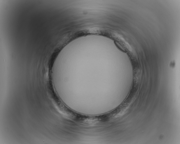 X0000097640213200803211840