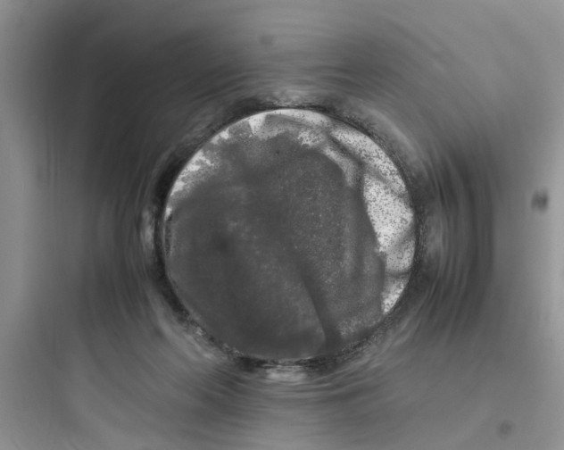 X0000097640214200803211840