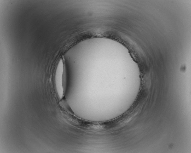 X0000097640217200803211840