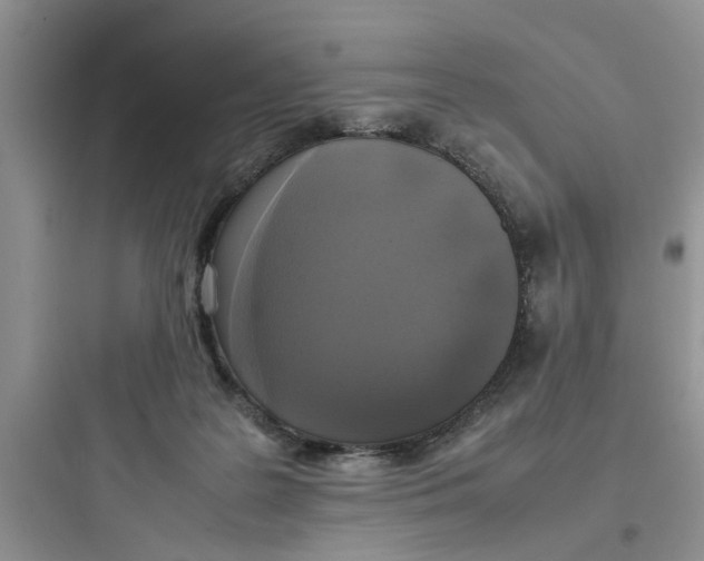 X0000097640219200803211840