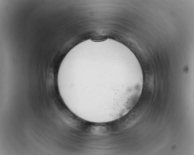 X0000097640220200803211840