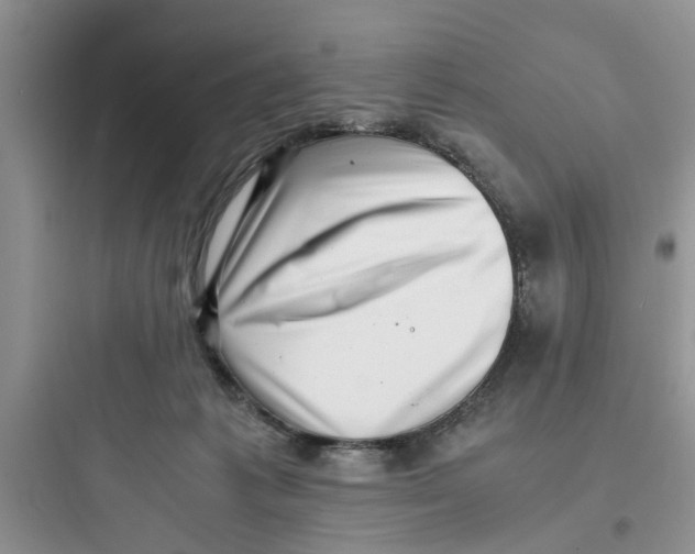 X0000097640221200803211840