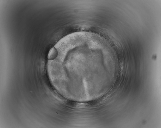 X0000097640222200803211840