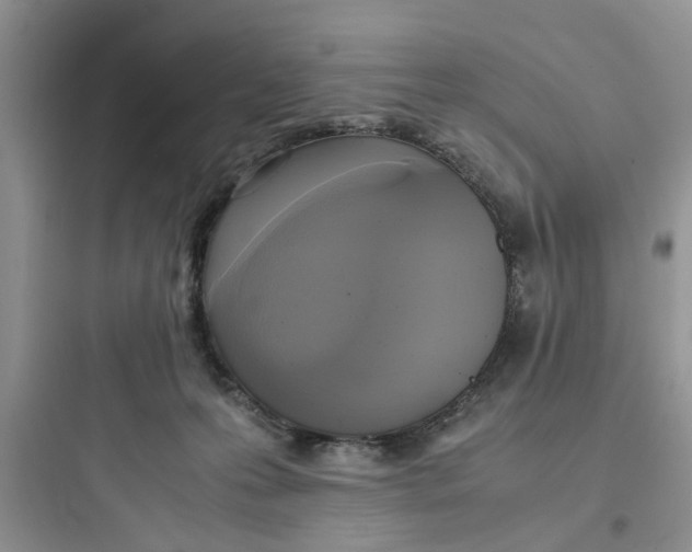 X0000097640223200803211840