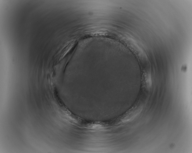 X0000097640224200803211840