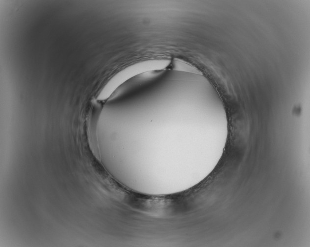 X0000097640225200803211840