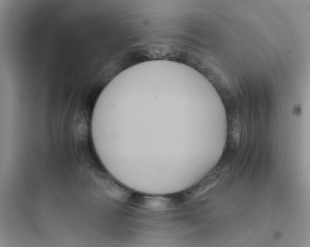 X0000097640226200803211839