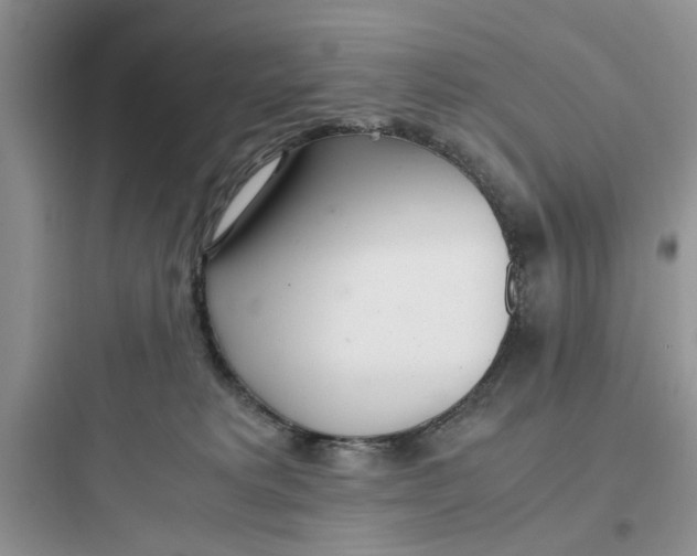 X0000097640229200803211839