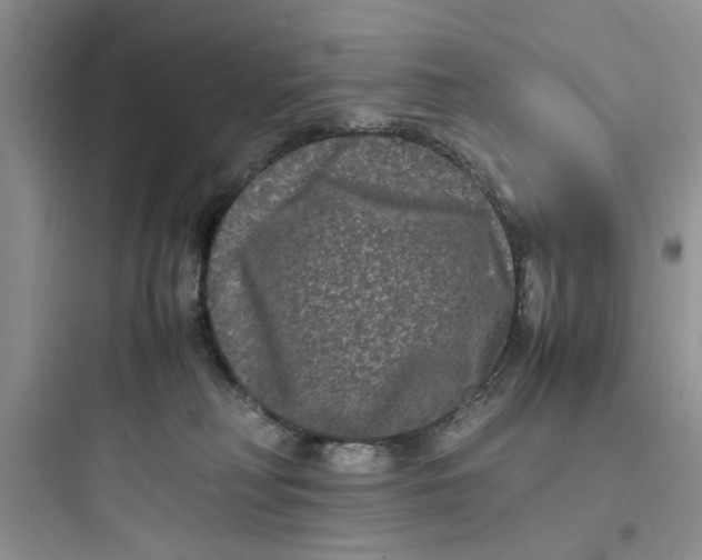 X0000097640230200803211839