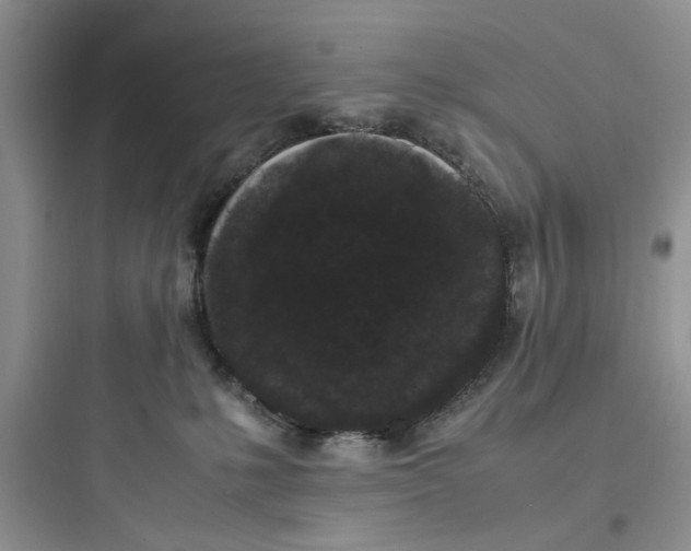 X0000097640231200803211839