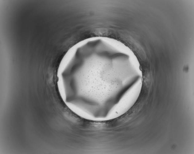 X0000097640233200803211839