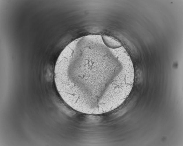 X0000097640234200803211839