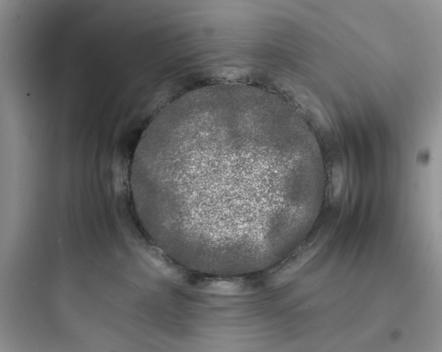 X0000097640236200803211839